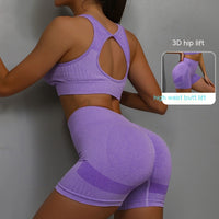 Women's 2-Piece Yoga Set – Breathable Sports Bra & Sculpting Shorts