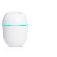 The New Usb Humidifier Is Small And Cute