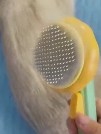 Pet Pumpkin Brush, Pet Grooming Self Cleaning Slicker Brush For Dogs Cats Puppy Rabbit, Cat Brush Grooming Gently Removes Loose Undercoat, Mats Tangled Hair Slicker Brush